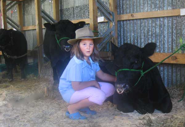 Katherine Moore, aged nine, with Australian Lowline yearling bull, Casablanca Pilot Banks
