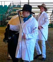 Australian Lowlines. US youth ambassador, Sky Battles at Sydney Royal Show
