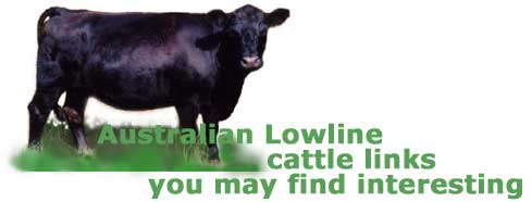 Australian Lowline cattle links